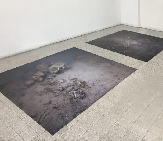 Vita del fiume: l’installazione di Iginio De Luca fa tappa a Frosinone