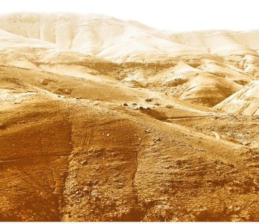 Margherita Moscardini, If Inhabiting Means Remaining Foreigners – Ex Elettrofonica