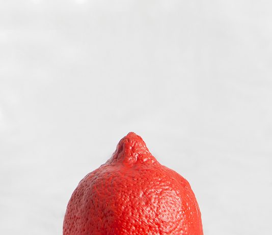 Una fresca ventata di fotografia a Milano, con MIA Fair 2022