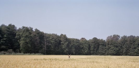 Milano Art To Date #1: dai progetti di MIA Fair agli spazi indipendenti