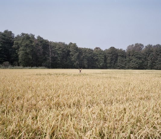 Milano Art To Date #1: dai progetti di MIA Fair agli spazi indipendenti