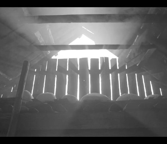 Venezia Art To Date #3: folclore ucraino, Dansaekhwa e iper realismo