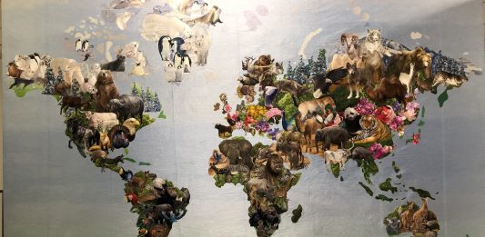 Mappare il mondo, a Treviso