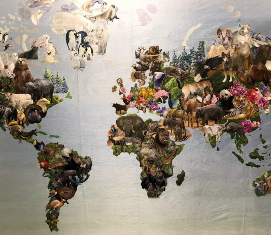 Mappare il mondo, a Treviso