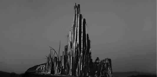 Simona Ghizzoni e Antonio Biasiucci vincono il Premio BNL a MIA Art Fair