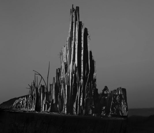 Simona Ghizzoni e Antonio Biasiucci vincono il Premio BNL a MIA Art Fair