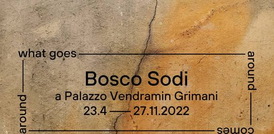 LA FONDAZIONE DELL’ALBERO D’ORO PRESENTA BOSCO SODI A PALAZZO A VENDRAMIN GRIMANI. WHAT GOES AROUND COMES AROUND COME EVENTO COLLATERALE DI BIENNALE ARTE 2022