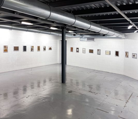 Carlo Steiner, Spore – Gagliardi e Domke