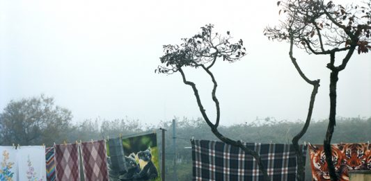 Paolo Simonazzi, Il filo e il fiume – Palazzo Pigorini