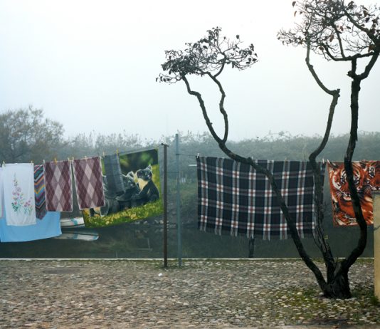 Paolo Simonazzi, Il filo e il fiume – Palazzo Pigorini