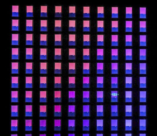 Cookie Cookie 2.0: opere d’arte e performance, tra Venezia e il Metaverso