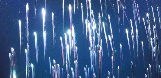 Penumbra la prima mostra istituzionale di Fondazione In Between Art Film presenta 8 nuove installazioni video in occasione della Biennale Arte 2022