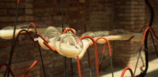 Zoom Biennale #10: l’intervento di Lara Fluxà, che evita di intervenire