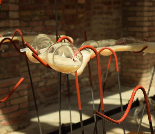 Zoom Biennale #10: l’intervento di Lara Fluxà, che evita di intervenire