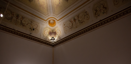 L’arte organica dei TTozoi, che si genera dalle muffe del Colosseo