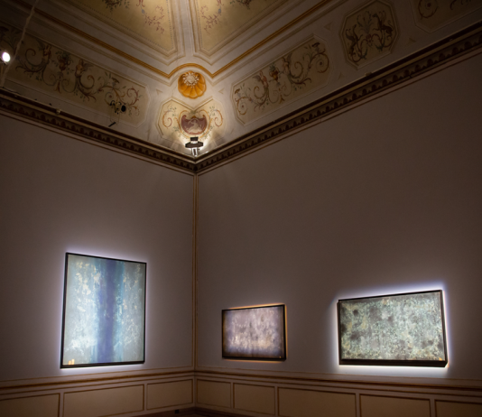 L’arte organica dei TTozoi, che si genera dalle muffe del Colosseo