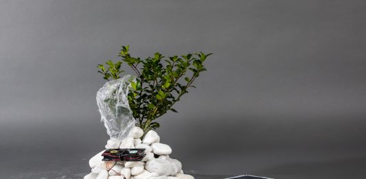 La quinta edizione di Carapelli for Art: online il bando