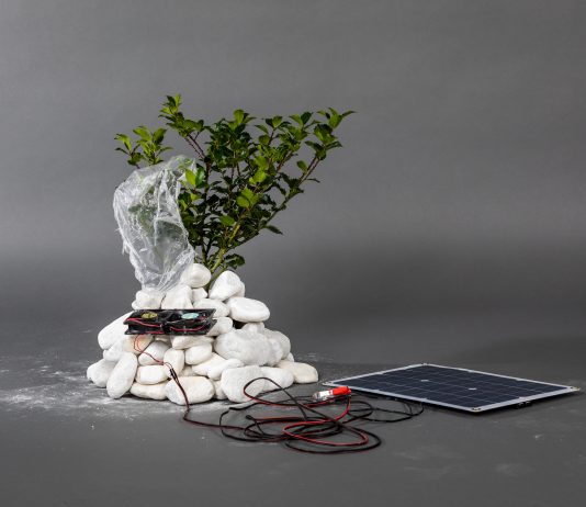 La quinta edizione di Carapelli for Art: online il bando