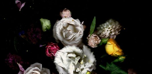 Still life postmoderne di Vittoria Piscitelli al Museo Filangieri di Napoli