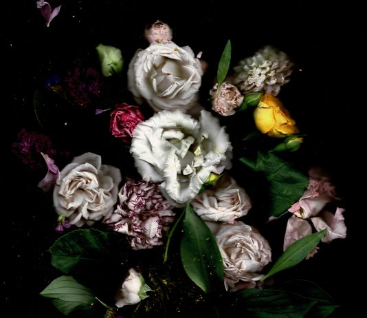 Still life postmoderne di Vittoria Piscitelli al Museo Filangieri di Napoli