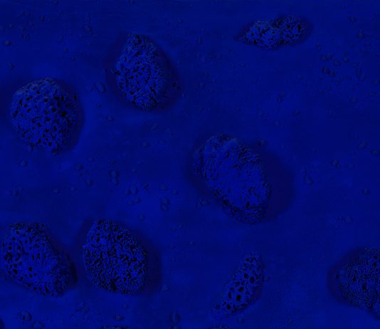 Fair Warning! Il giro del mondo delle aste fair warning