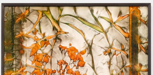 fuse*, Herbario Novo. Dagli erbari antichi ad Artificial Botany – Marignana Arte