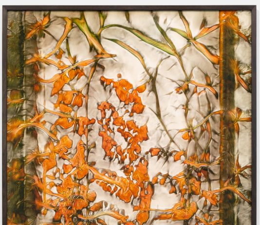 fuse*, Herbario Novo. Dagli erbari antichi ad Artificial Botany – Marignana Arte