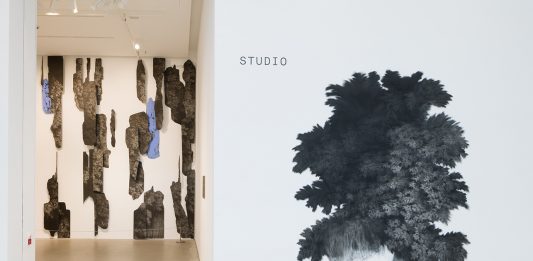 La forza della natura, oltre gli esseri umani: Giulia Dall’Olio alla Kunsthalle di Mannheim