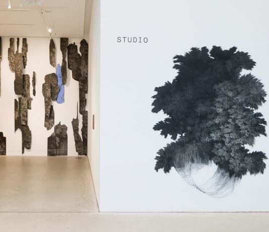 La forza della natura, oltre gli esseri umani: Giulia Dall’Olio alla Kunsthalle di Mannheim