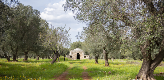 Appia 2030: call aperta per due residenze al termine della Regina Viarum