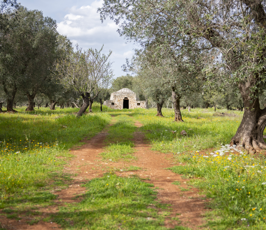 Appia 2030: call aperta per due residenze al termine della Regina Viarum