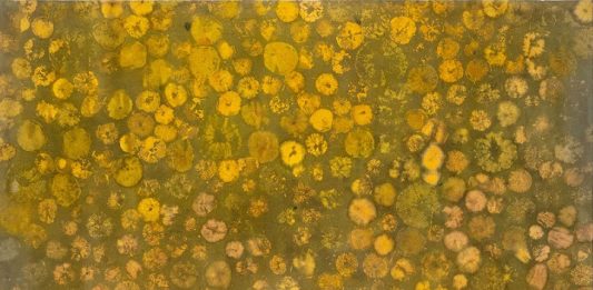 Luca Trevisani, Notes for Dried and Living Bodies in Corso Umberto, Platea Palazzo Galeano