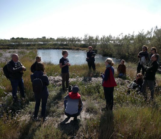 ‘Venezia come modello per il futuro?’: le conversazioni itineranti di Ocean Space
