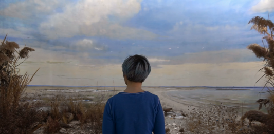 Videoarte dall’Ucraina al Maxxi: Chain Reaction, con un’intervista ai curatori