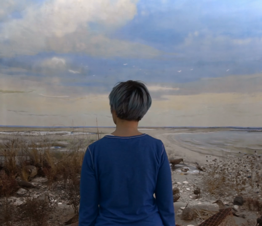 Videoarte dall’Ucraina al Maxxi: Chain Reaction, con un’intervista ai curatori