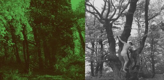 Gina Klaber Thusek e Elisabeth Hölzl: la vita in un attimo