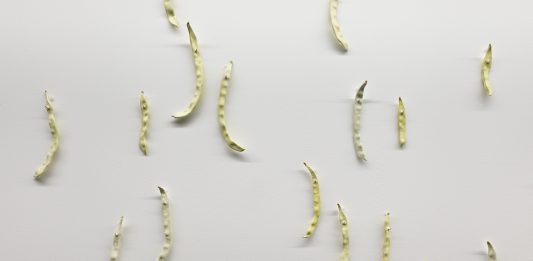 Bologna, il percorso di Italo Zuffi in “Fronte e Retro”