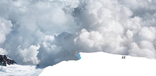 Bologna, Arte Fiera 2022: parlano le gallerie