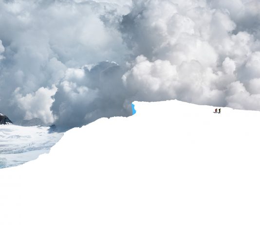 Bologna, Arte Fiera 2022: parlano le gallerie