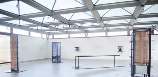 Emilio Vavarella L’altra forma delle cose (AAS47692 / Picea abies) alla Fondazione Zegna