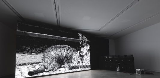 Venezia, la memorie dei suoni: intervista a Marco Fusinato