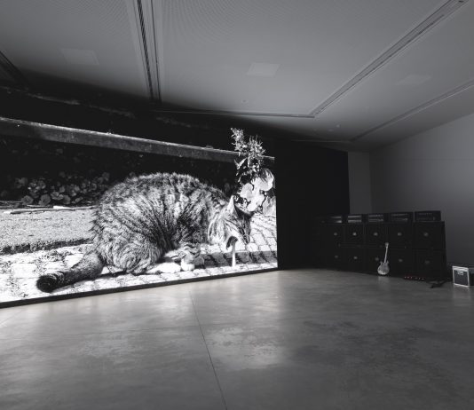 Venezia, la memorie dei suoni: intervista a Marco Fusinato