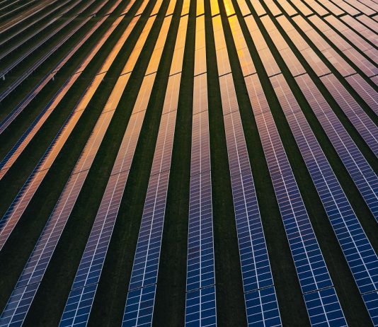 Il Gruppo Iren lancia ArtEcò, un contest per raccontare il futuro attraverso l’arte