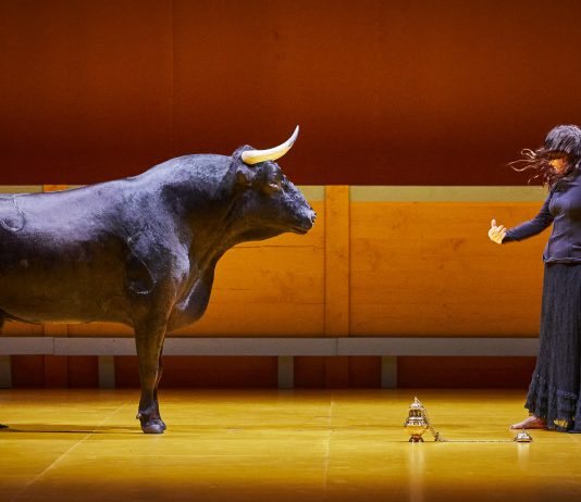 L’amore e la morte nell’arena visionaria di Angelica Liddell