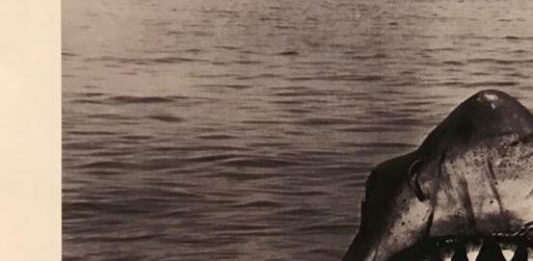 Per un agire plurale: So Contemporary al Parco Milcovich di Padova