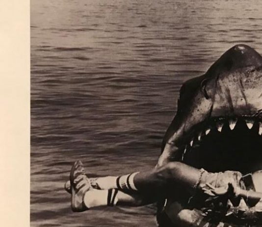 Per un agire plurale: So Contemporary al Parco Milcovich di Padova