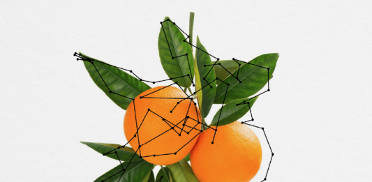 ‘Every food is a landscape’: l’open call di BJCEM, per artisti under 35