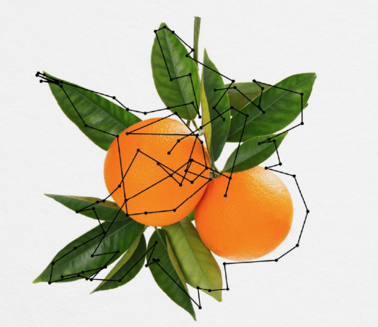 ‘Every food is a landscape’: l’open call di BJCEM, per artisti under 35