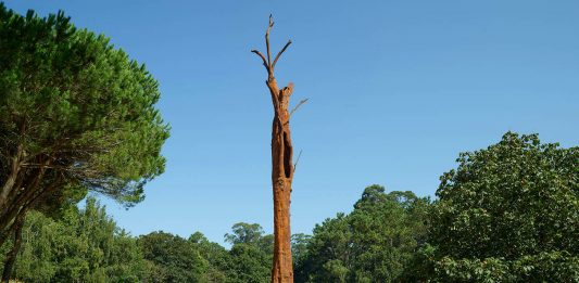 Report Portogallo #1