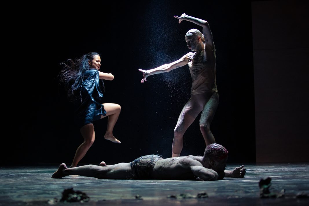 Wim Vandekeybus Hands Do Not Touch